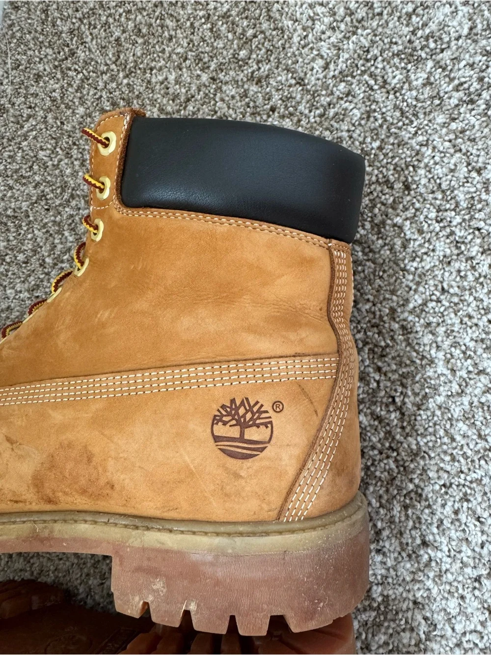 Timberland Tan/Brown Boots with Black Collar
